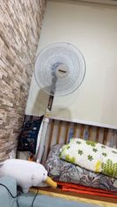 Ảnh người mua