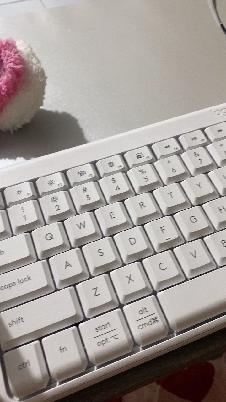 Chuột Logitech MK250 MK251