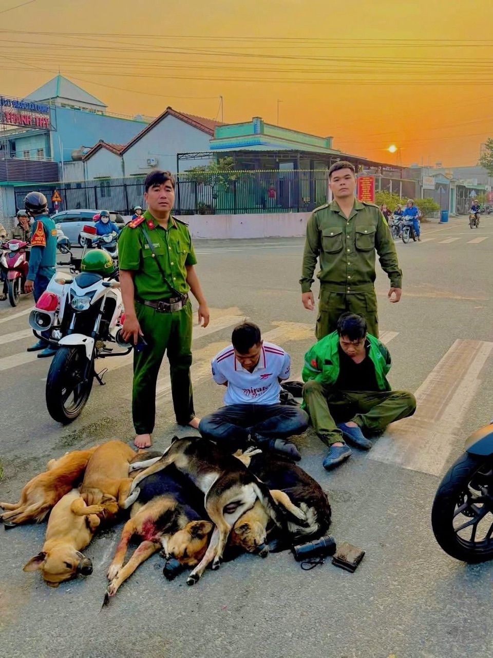 Ảnh đánh giá