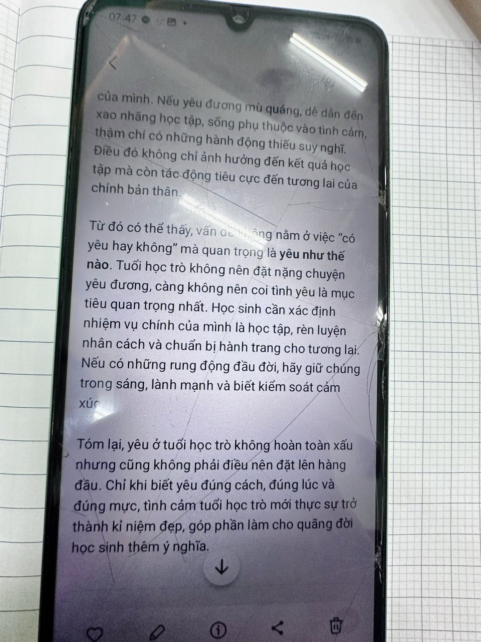 Ảnh đánh giá