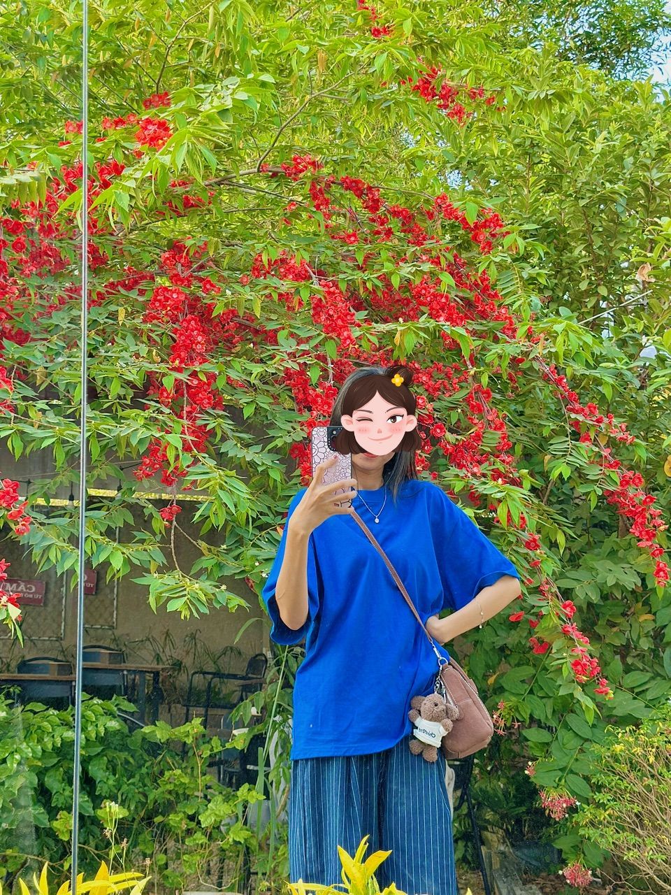 Ảnh đánh giá