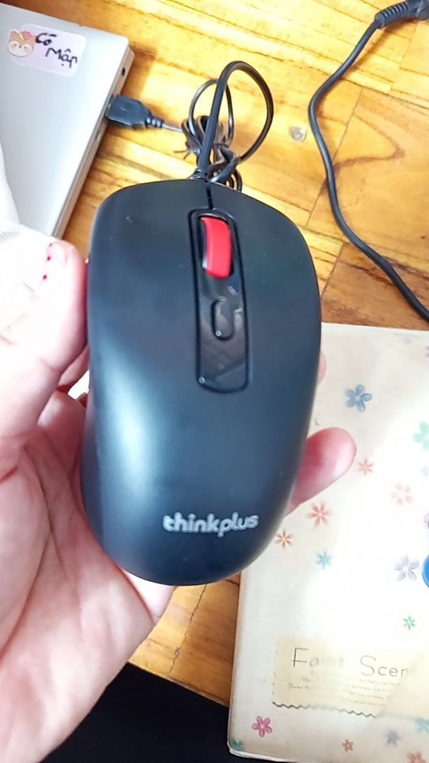 Thinkplus M10 kết nối USB