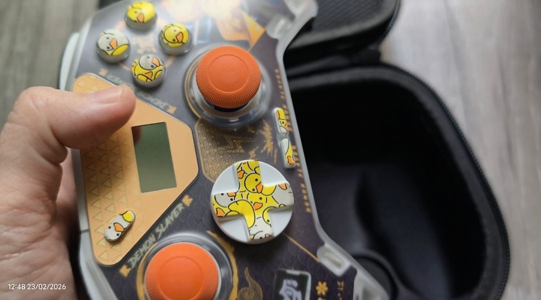Mặt decal trang trí cho Flydigi Apex 4