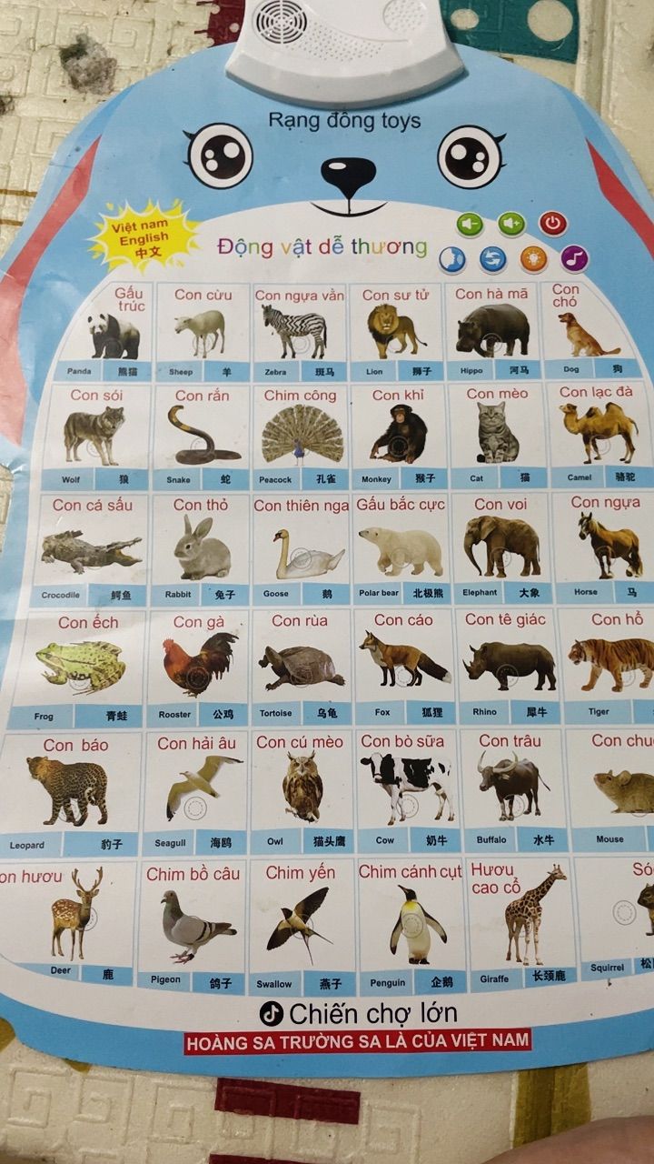 Ảnh đánh giá