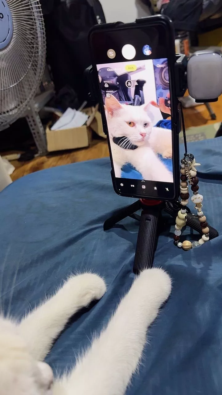 Gậy selfie xoay 360 độ