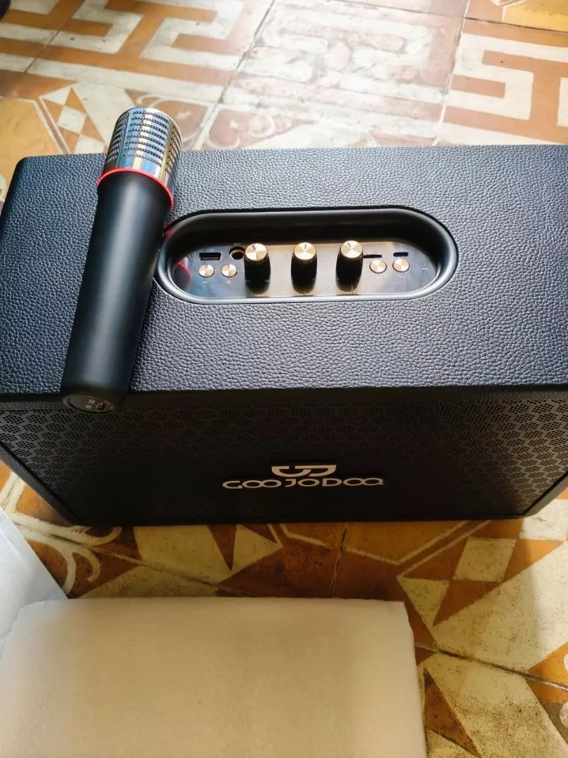 Loa GOOJODOQ Retro các cổng kết nối