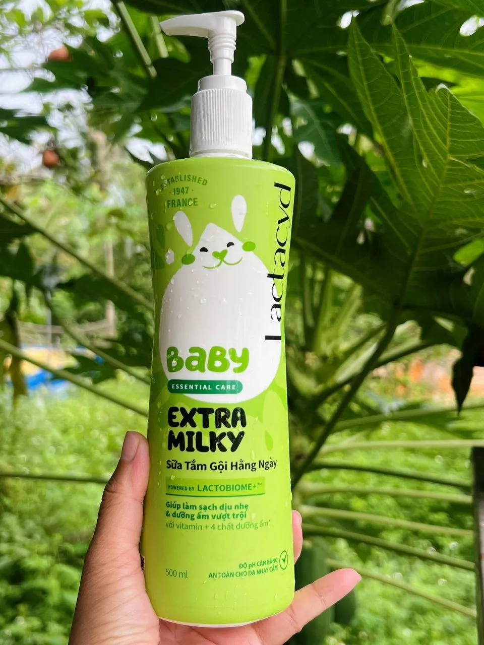 Lactacyd Milky dùng cho tắm và gội