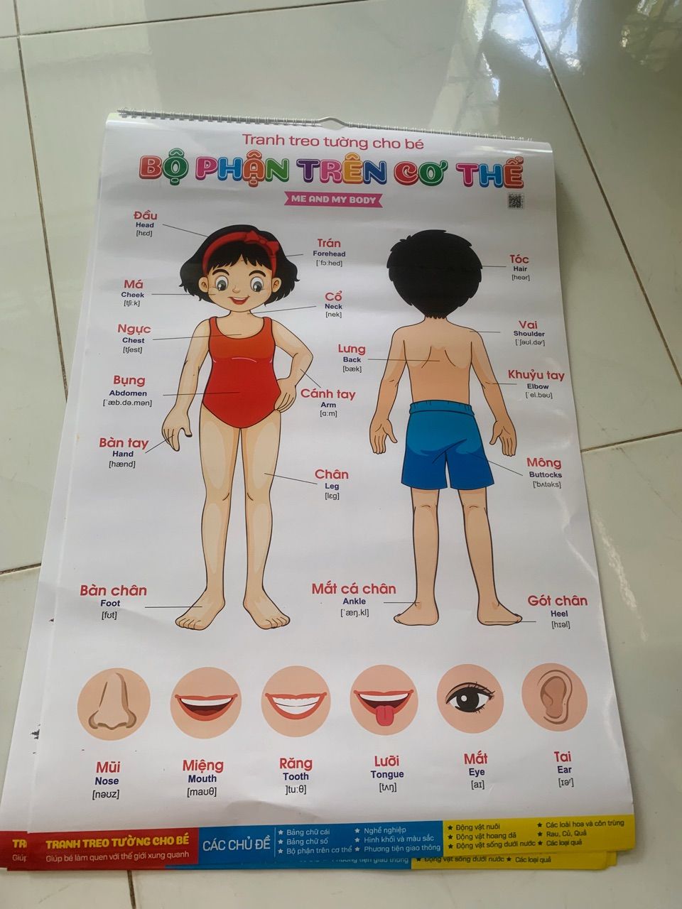 Ảnh đánh giá