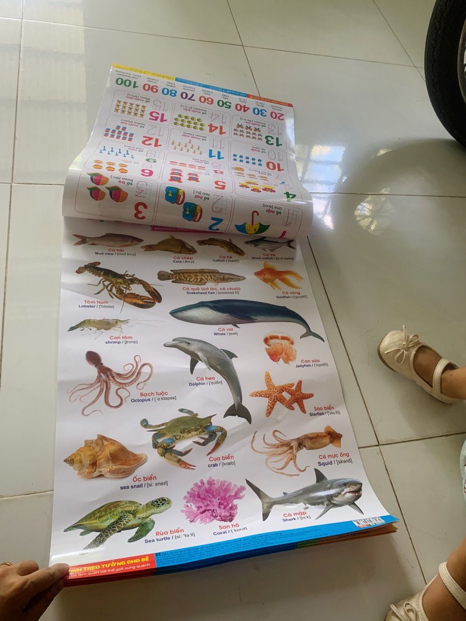Ảnh đánh giá