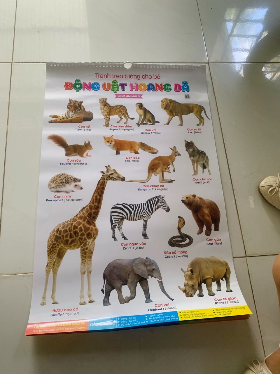 Ảnh đánh giá