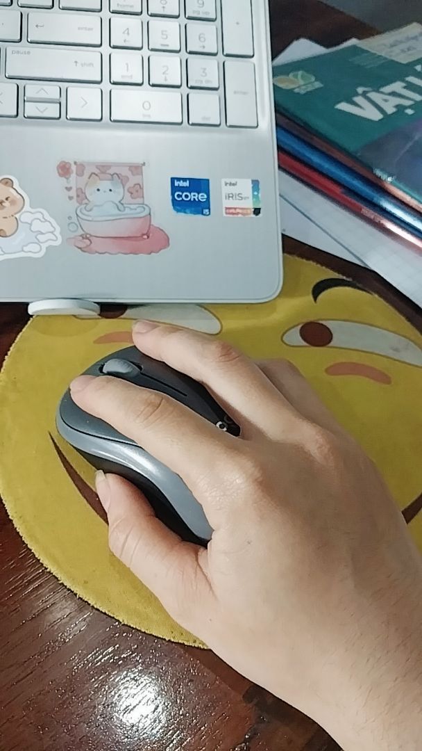 Logitech M186 không dây
