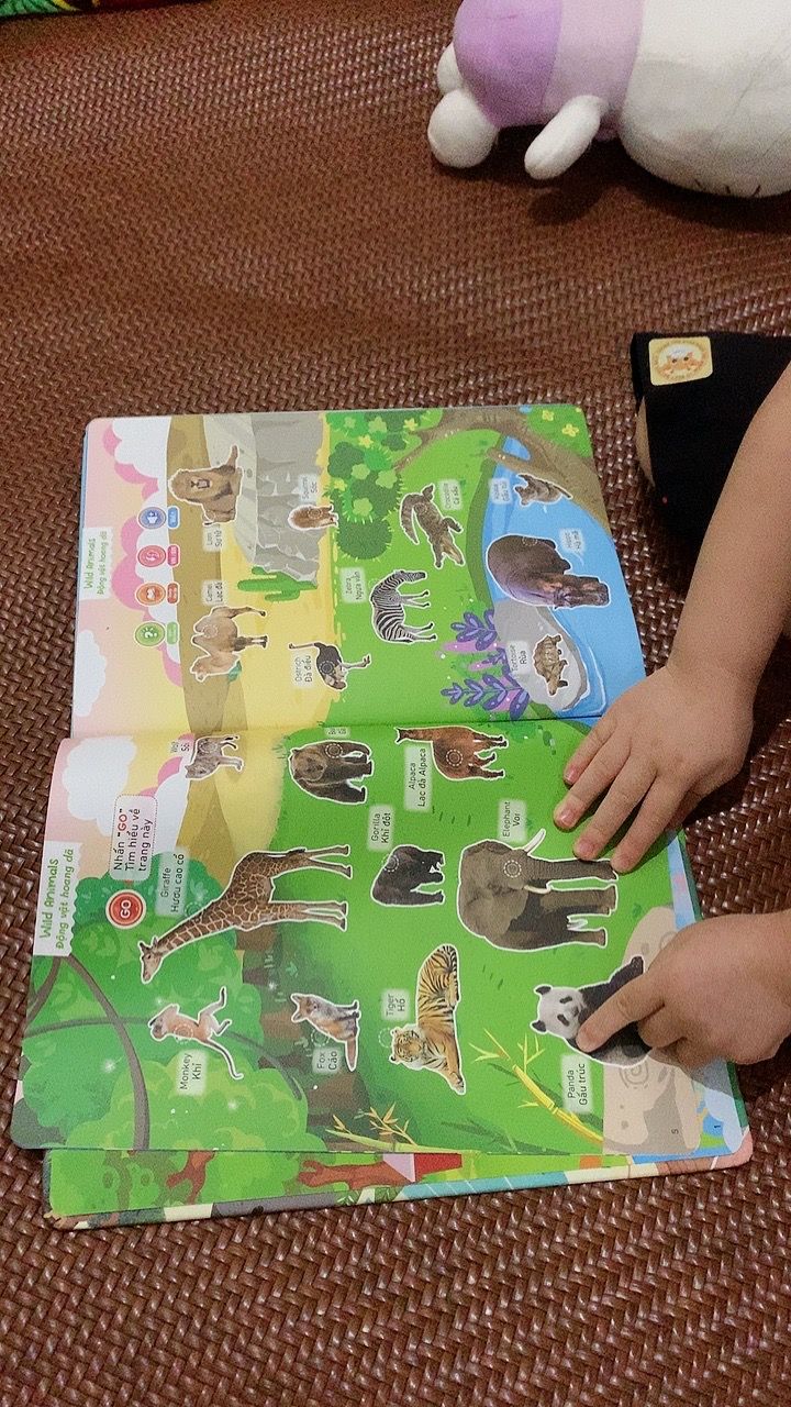Ảnh đánh giá