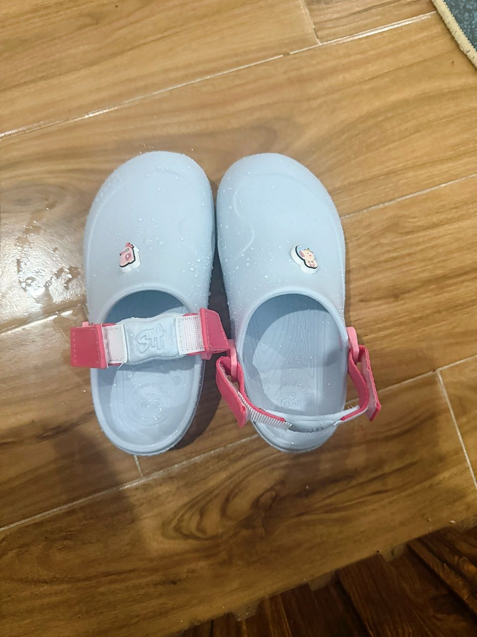 Mẫu dép sục Shondo nhiều màu