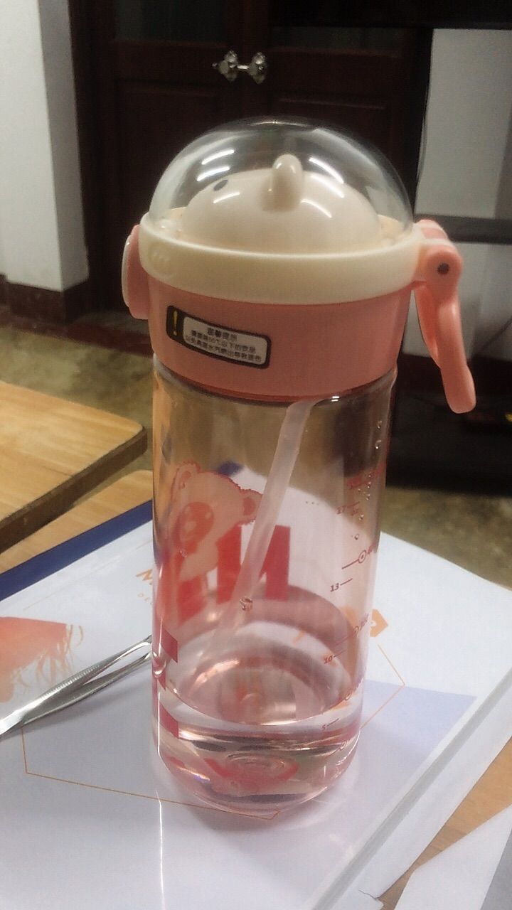 Bình Nước Cho Bé Gấu Kute 650ml Chất Liệu PP An Toàn Kèm Ống - ảnh 1