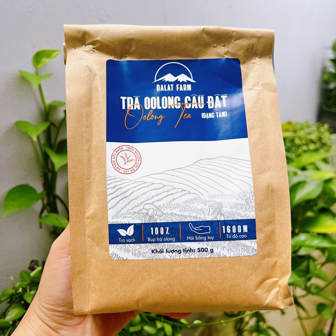 Ảnh đánh giá
