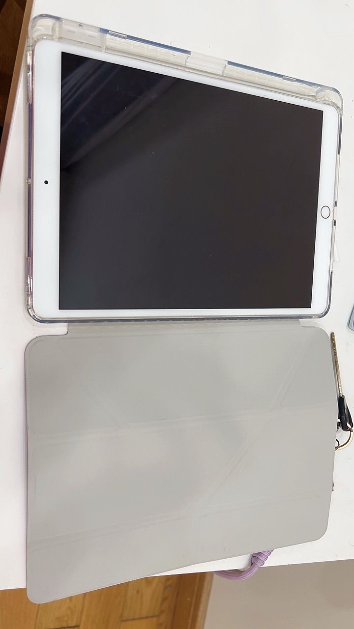 Bao da iPad có ngăn bút
