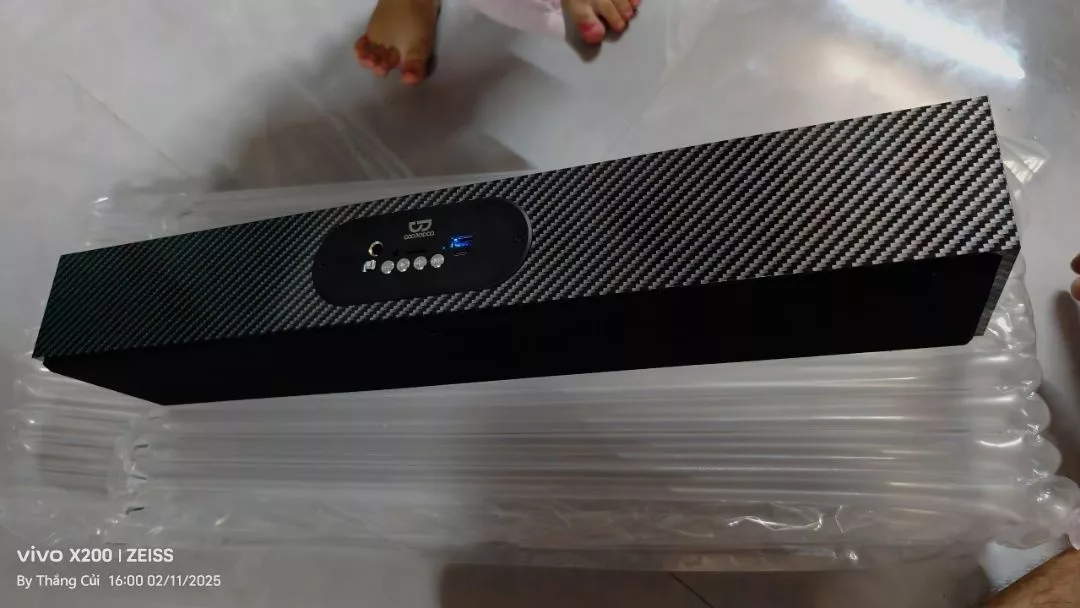 Thiết kế màng loa và vỏ gỗ của loa GOOJODOQ