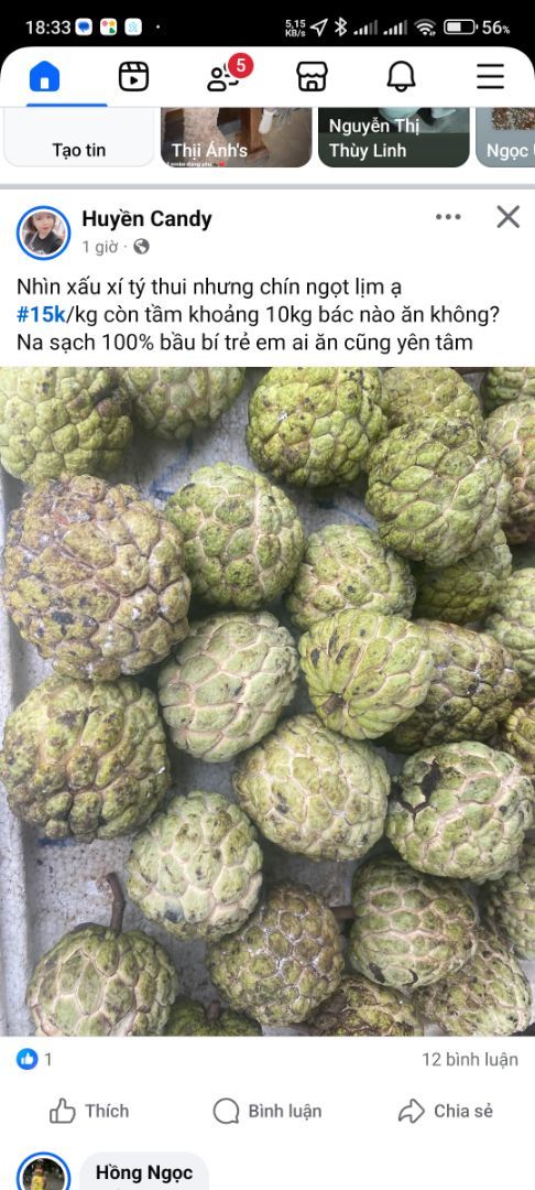 Máy Tính Học Sinh Cầm Tay – Máy Tính Khoa Học 240 Chức Năng, - ảnh 2