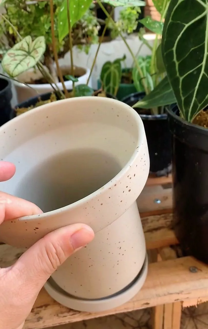 Chất lượng sản phẩm: Tốt, chậu này trồng với mấy cây dáng cao sẽ hợp lắm. chậu đẹp như hình. cảm ơn shop nhé