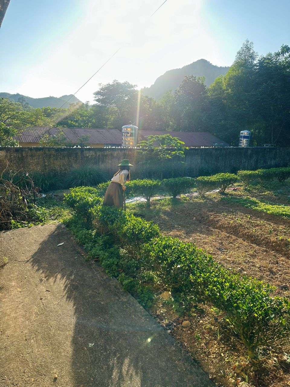 Nồi điện Bear với thanh gạt chỉnh nhiệt