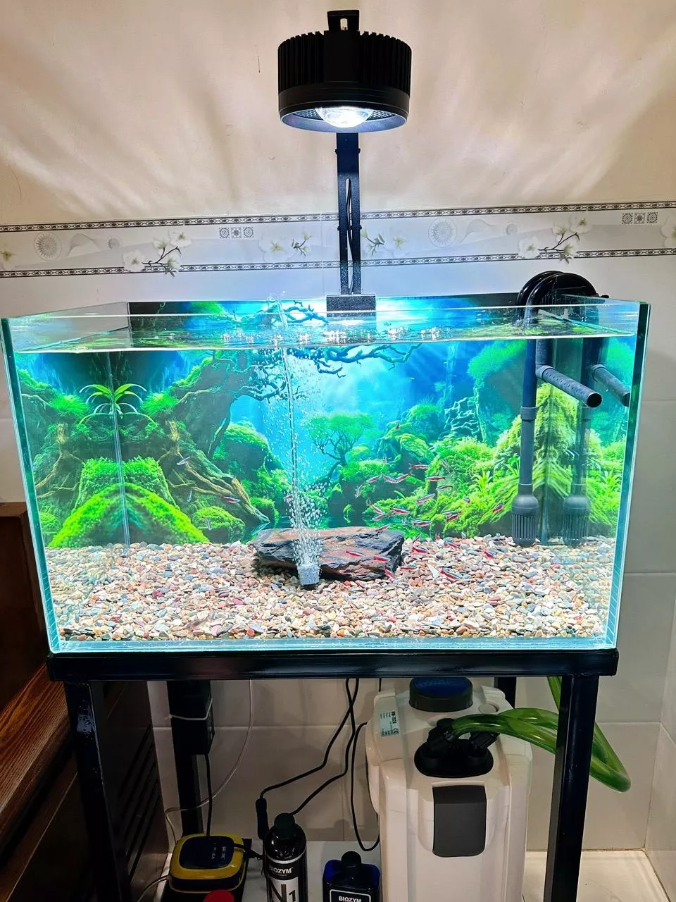 COCO FA Series lắp trên hồ thủy sinh 2