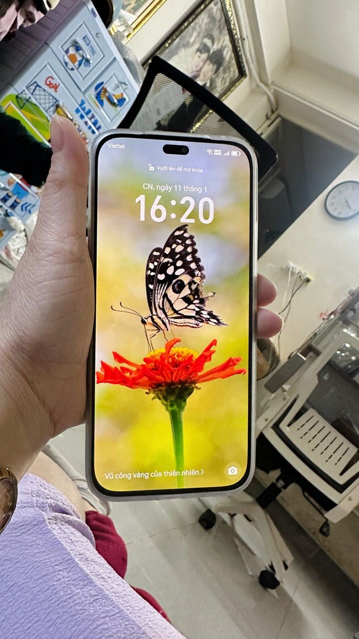 Ảnh đánh giá
