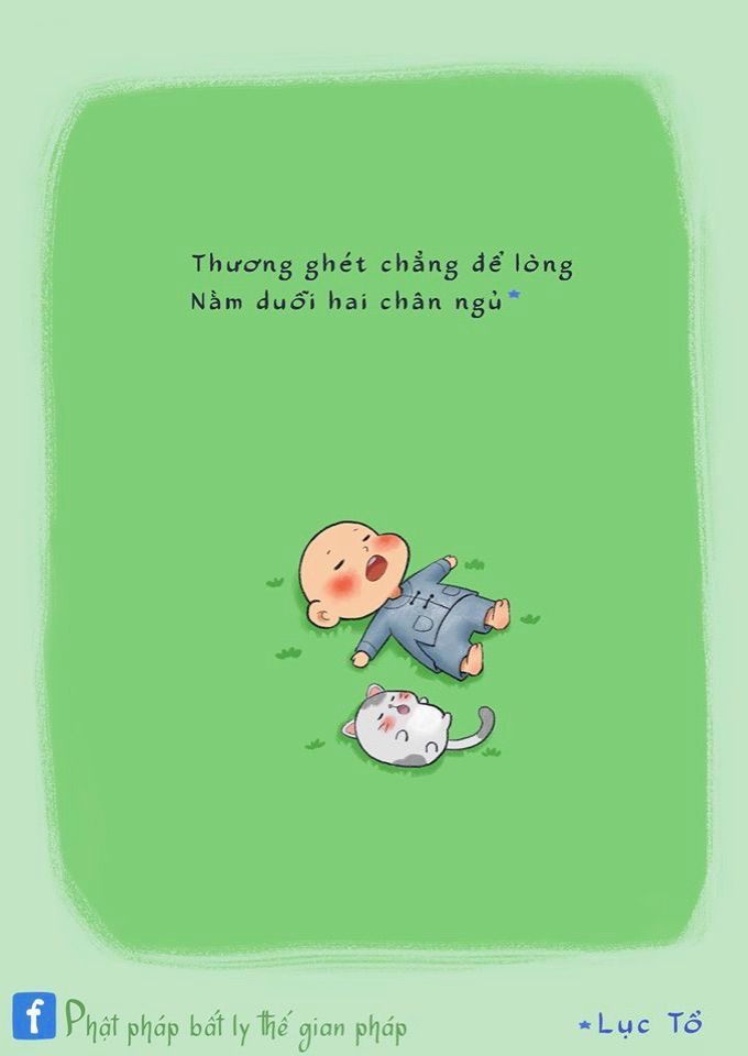 Túi Ulanzi F01 cho máy ảnh và phụ kiện