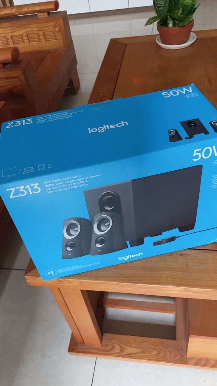 Loa vi tính Logitech Z313