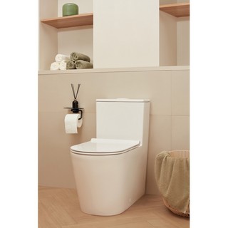 Lô giấy vệ sinh có kệ hansgrohe 27928