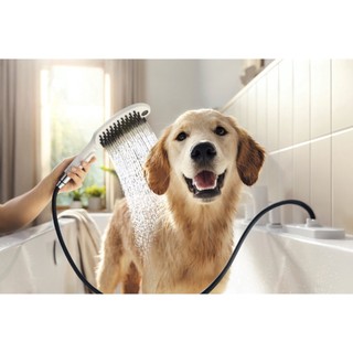Tay sen tắm dành cho thú cưng Hansgrohe DogShower 150 3jet 26640 chính hãng Đức