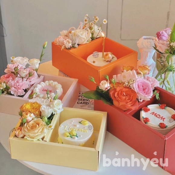 Hộp Mica Trong Suốt 2 Ngăn đựng bánh và hoa màu Đỏ/Hồng không nơ - BB136