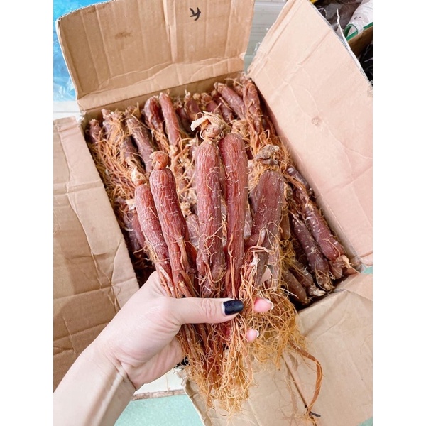Hồng sâm sấy dẻo hàng đẹp củ to đều , thơm đậm vị sâm( Nhân sâm củ, sâm râu bồi bổ sức khỏe )100gr