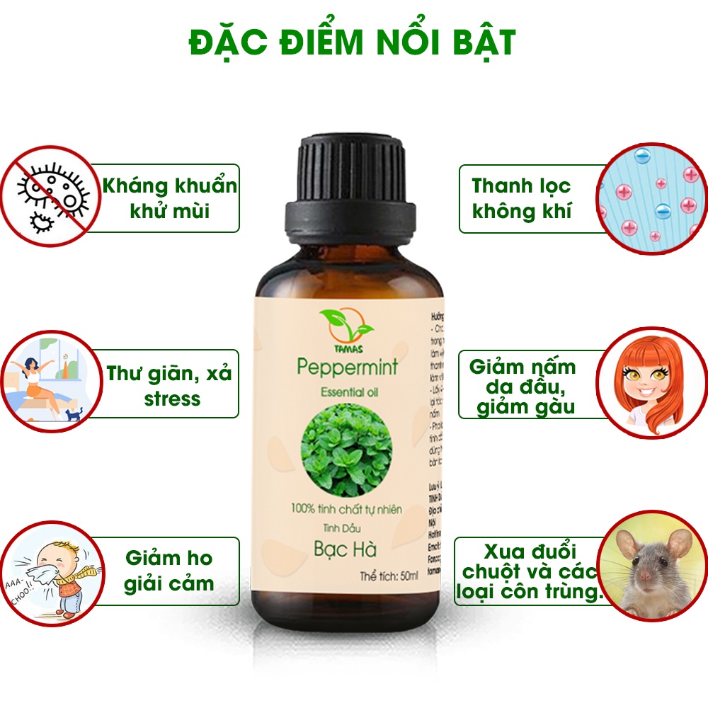 Ảnh Tinh dầu Bạc Hà 100% nguyên chất loại 10ml -30ml - 50ml 2