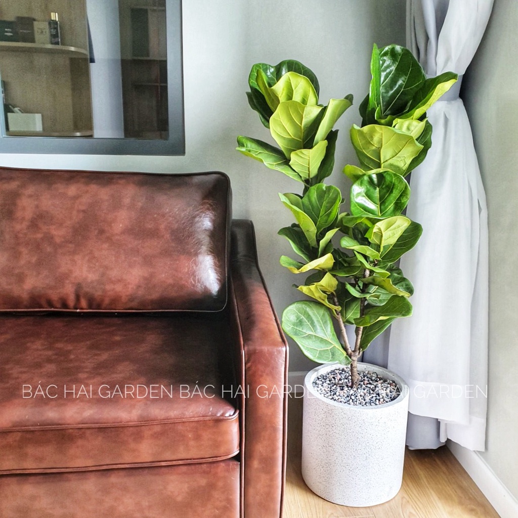 CHẬU TRỒNG CÂY XI MĂNG TRỤ TRÒN D30H30