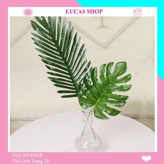 Lá giả - Lá cọ 45cm trang trí phông nền chụp ảnh, decor nhà cửa, cắm điểm, cổng cưới, bàn tiệc