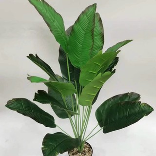 CÂY CHUỐI SINGAPORE 18 LÁ CAO 81 CM NHẬP KHẨU - CÂY GIẢ DECOR Nhà Cửa