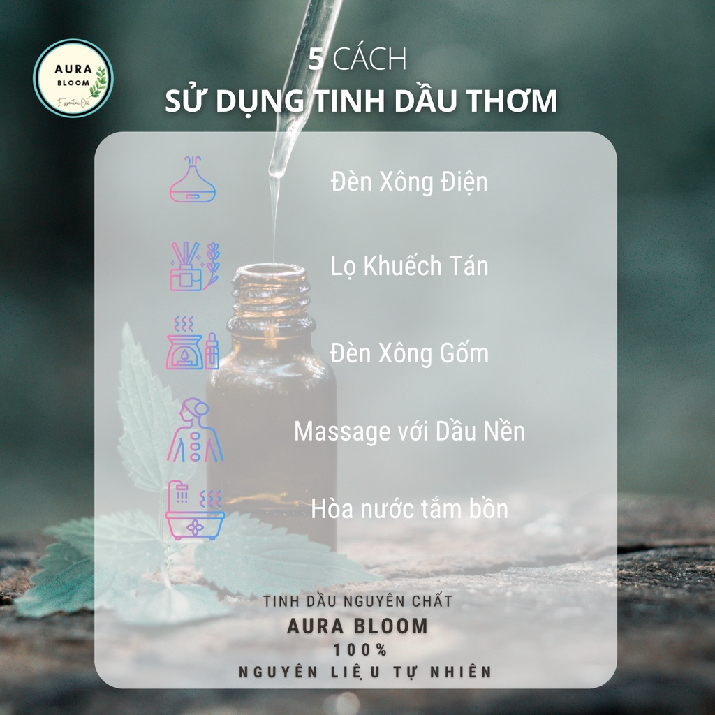 Chất lượng Ô Tiêu Chuẩn