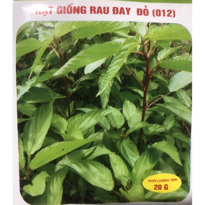 Hạt giống Rau đay trắng/ rau đay đỏ/ rau đay hồng (giao ngẫu nhiên ...