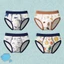 Set 4 quần lót bé trai size đại, quần sịp trẻ em nam cotton cao cấp Dinosaur 12-44kg Maruka