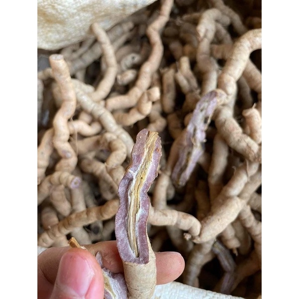 Ba kích tím Quảng Ninh (Nguyên củ) Hàng A1 (1kg)