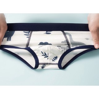 [BT09 Hàng mới] Set 4 quần lót bé trai size đại, quần sịp trẻ em nam cotton cao cấp Dinosaur 12-44kg Maruka