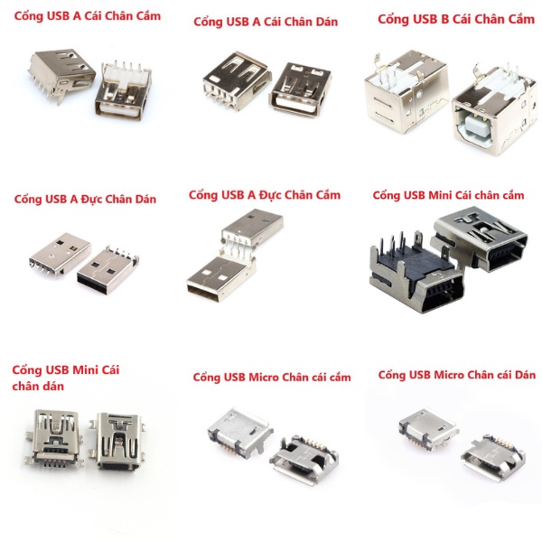 Cổng USB A Cái chân cắm, chân dán, USB A đực, USB B cái cắm, USB Mini ...