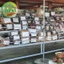 Rễ cây Hồng rừng; Cây Hồng rừng; Cây #thuốc mát gan