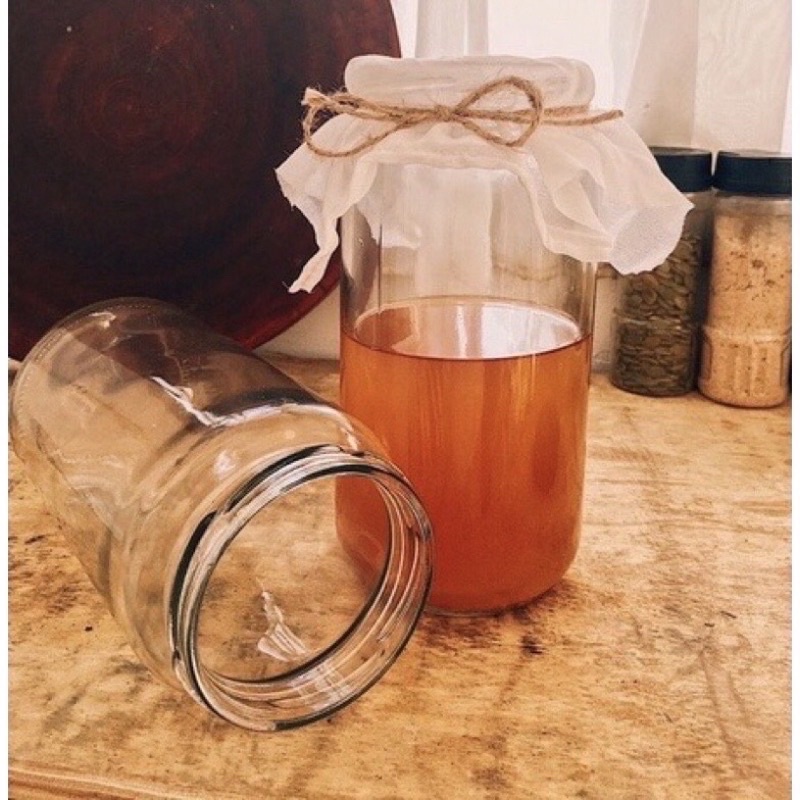 COMBO 8 MÓN ĐẦY ĐỦ LÀM TRÀ KOMBUCHA, Scoby Kombucha kèm hướng dẫn chi tiết