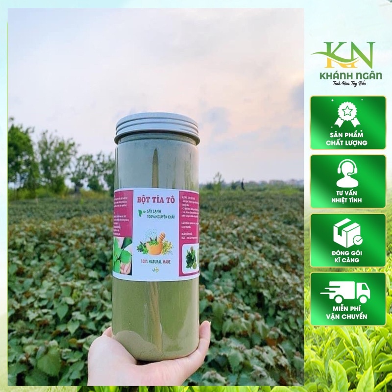 Bột Tía tô nguyên chất sấy lạnh - Hộp 500gr