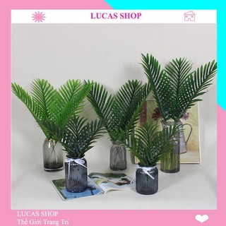 Lá giả - Lá cọ 45cm trang trí phông nền chụp ảnh, decor nhà cửa, cắm điểm, cổng cưới, bàn tiệc