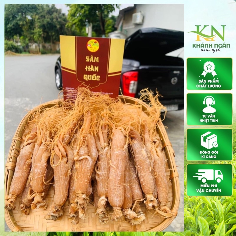 Hồng sâm sấy dẻo hàng đẹp củ to đều , thơm đậm vị sâm( Nhân sâm củ, sâm râu bồi bổ sức khỏe )100gr