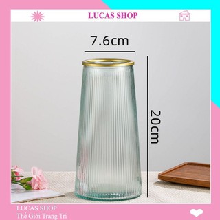 Lọ cắm hoa thuỷ tinh cao cấp, decor nhà cửa, trang trí quán cắm bình thuỷ tinh B032
