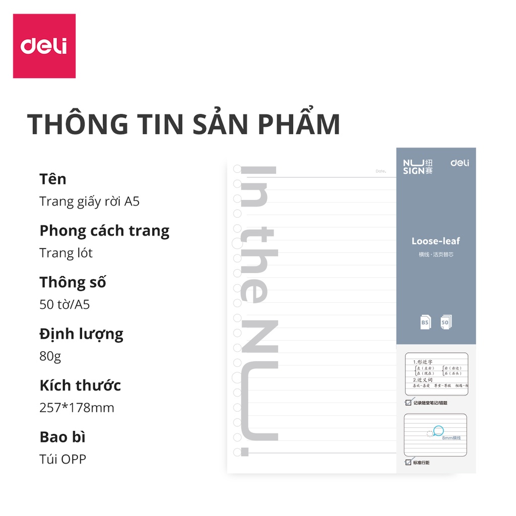 Lõi giấy thay thế sổ A5 B5 Deli - Kẻ ngang/ ô vuông caro - 1 tệp