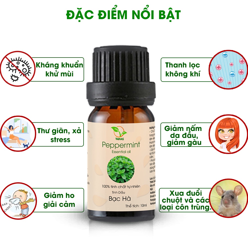 Ảnh Tinh dầu Bạc Hà nguyên chất TAMAS 10ml, tinh dầu xông phòng khử mùi, đuổi muỗi và côn trùng hiệu quả,an toàn cho trẻ nhỏ 1